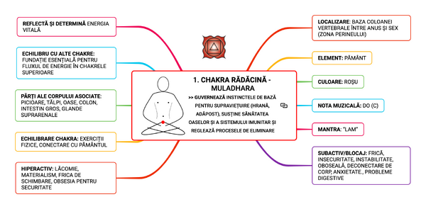 CHAKRA RĂDĂCINĂ - MULADHARA GUVERNEAZĂ INSTINCTELE DE BAZĂ PENTRU SUPRAVIEȚUIRE (HRANĂ, ADĂPOST), SUSȚINE SĂNĂTATEA OASELOR ȘI A SISTEMULUI IMUNITAR ȘI REGLEAZĂ PROCESELE DE ELIMINARE
