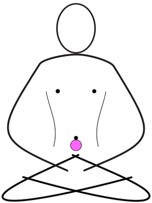 Chakra Sacrala - HARA