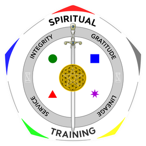 Logo SPIRITUAL TRAINING - 1 - modi.png